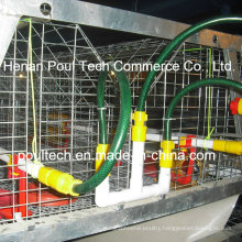 Little Chicken Chick Cage for The Poultry Farm